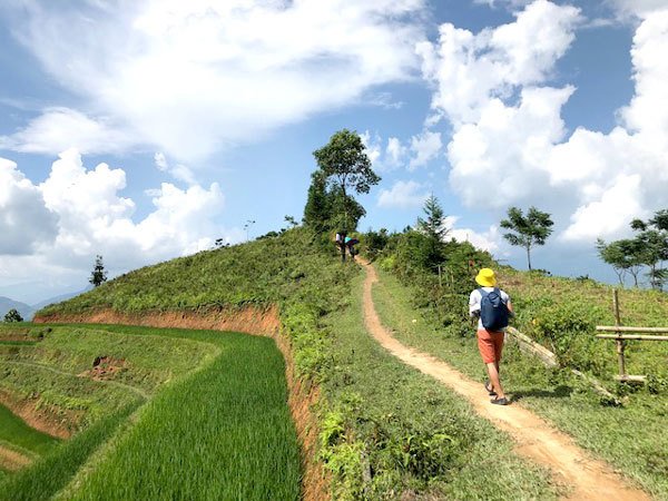 Hiking Through Hoang Su Phi's Most Breathtaking Rice Terraces 8 Days